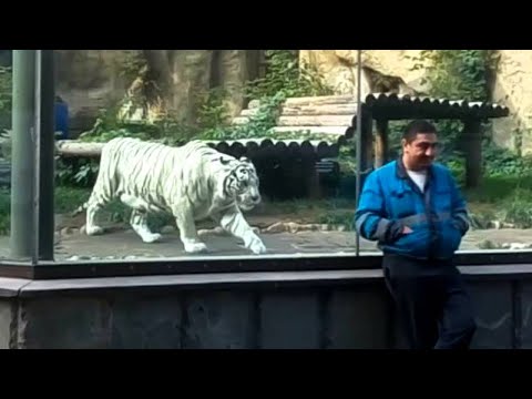 動物園で撮影された信じられない１５の瞬間