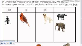 Unit 6 Lesson 9 Comparing units of measure
