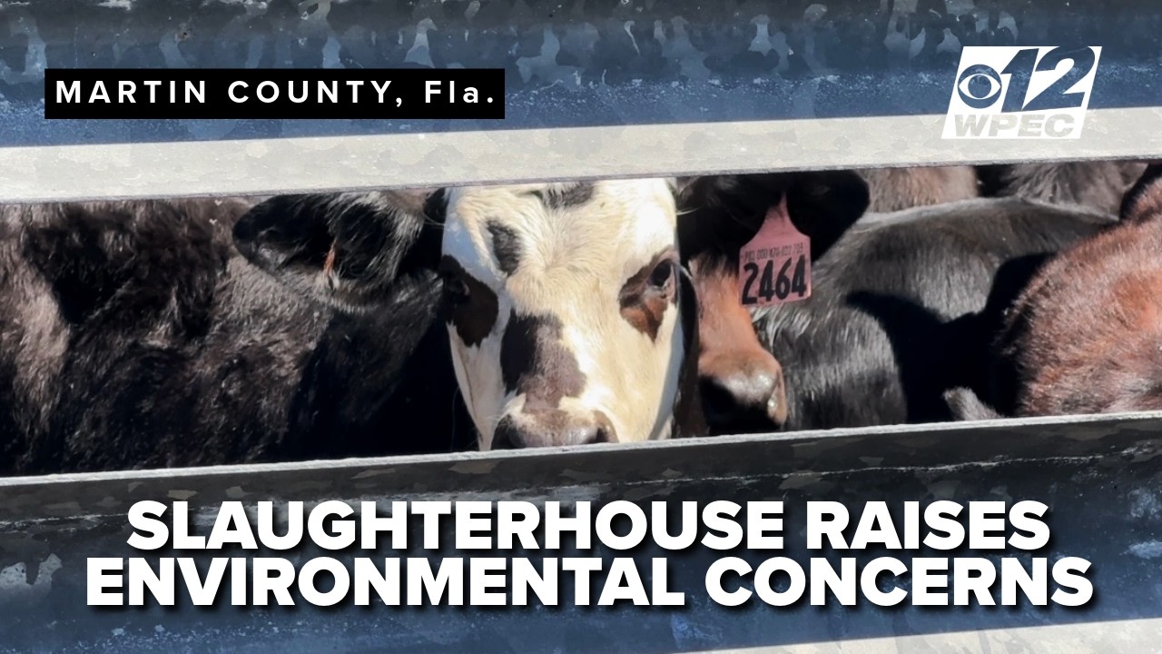Proposed slaughterhouse near Lake Okeechobee draws environmental concerns in Martin County