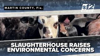 Proposed slaughterhouse near Lake Okeechobee draws environmental concerns in Martin County