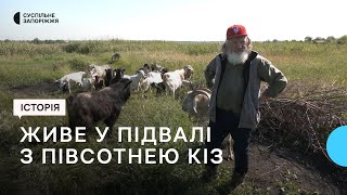 Під його опікою півсотні кіз: історія жителя з прифронтового Оріхова, що у Запорізькій області