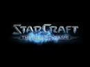 Starcraft: The Board Game Promo