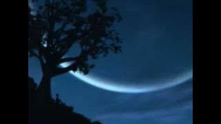 All My Only Dreams - The Wonders lyrics