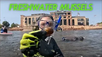 The Curious Lives of Freshwater Mussels | Great Lakes Now