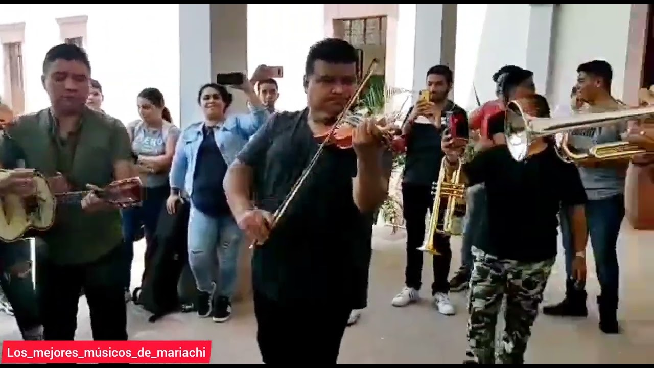 El maestro Daniel Rosales, Agustín Sandoval, Raúl Castillo y Manuel García, tocando el Maracumbe 🔥