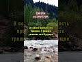 Верно сказано  Мудрые цитаты  Философия жизни  #цитаты #сосмыслом #мудрость #философия #хочуврекомен