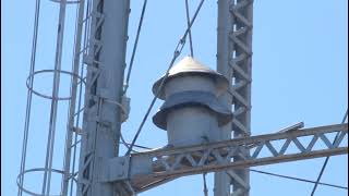 Osseo, MN | Short Alert (Noon whistle) | 4/8/22 | Federal Electric Model 5B