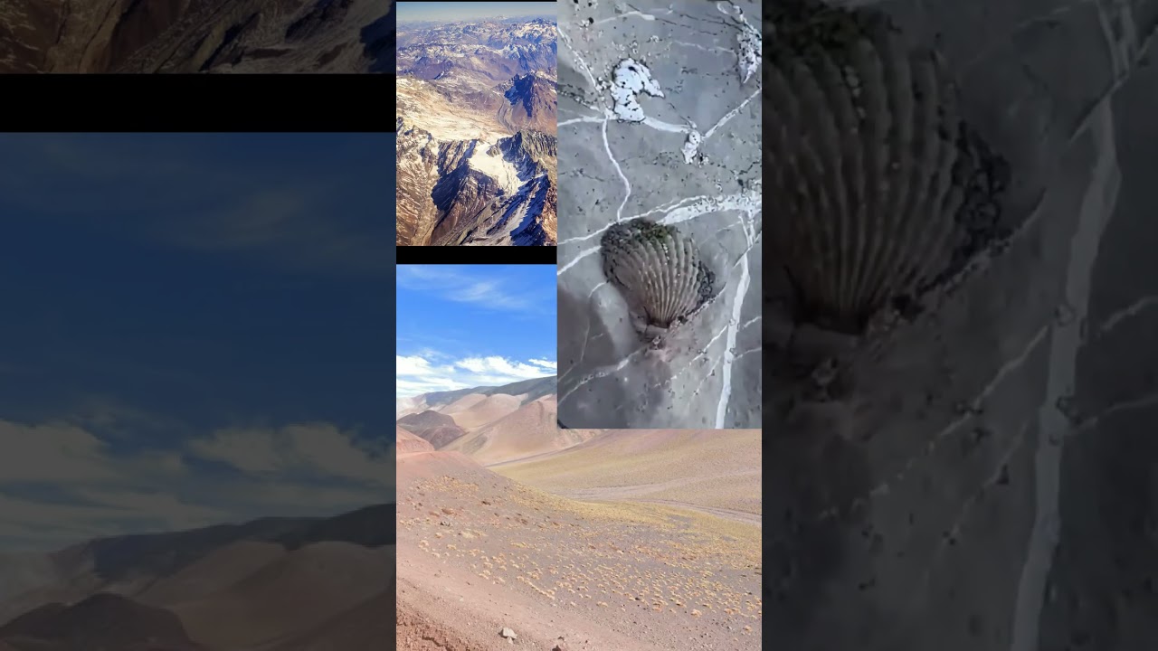 Реальная история  