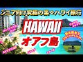 【ハワイ】シニア向け究極の楽々ハワイ旅行！B級グルメと観光。1400万円の高級車で巡るプライベートツアー！ドローンによる空中散歩！芸能人にもバッタリ会ってお話しできました。