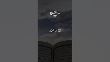 سوره الشرح سعد الغامدي#قران #ماهرالمعيقلي  #quran  #قران_كريم #تلاوة_خاشعة #alaa_mustafa_1
