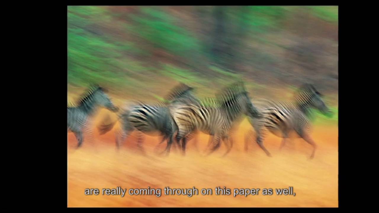 Epson Signature Worthy Velvet Fine Art Paper - Art Wolfe