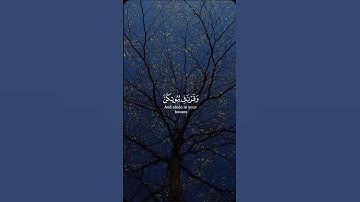 surah Al Ahzab 33 سورة الاحزاب #سورة_الأحزاب#إسلام_صبحي #قران#قران_كريم #مسلم#allah #quran #muslim 