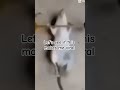#viral #trend