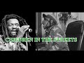 Lucky Dube - Children in the streets [ Lyric video. Studio session ]