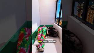 Vanderlei comprou um apartamento #homedesign #homedecoration #home #decoração #projeto