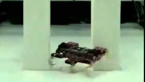 Cockroach robot walks through narrow gap 1