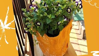 cement pot diy/how to make flower pot from old clothes