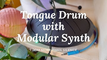 Tongue Drum with Modular Synth
