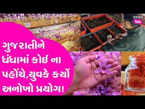 Interesting Story : ગુજરાતીને ધંધામાં કોઈ ના પહોંચે,આ Patel યુવકે કર્યો અનોખો પ્રયોગ!| Gujarat Tak
