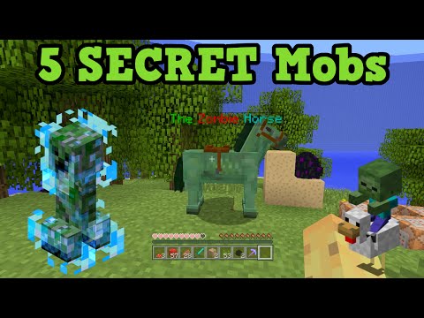 Minecraft Xbox 360 / PS3 - 5 Secret Mobs