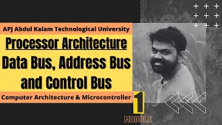 Celebrity Processor Architecture : Data Bus Address Bus  and Control Bus | ECT206 | CAM | KTU Profile