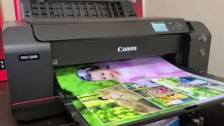 Canon Pro 1000 Print &amp; Frame