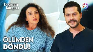 Yaman Doğayı Azrail’in Elinden Aldı Doğanın Kanunu 2. 
