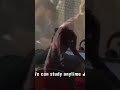 study is our life