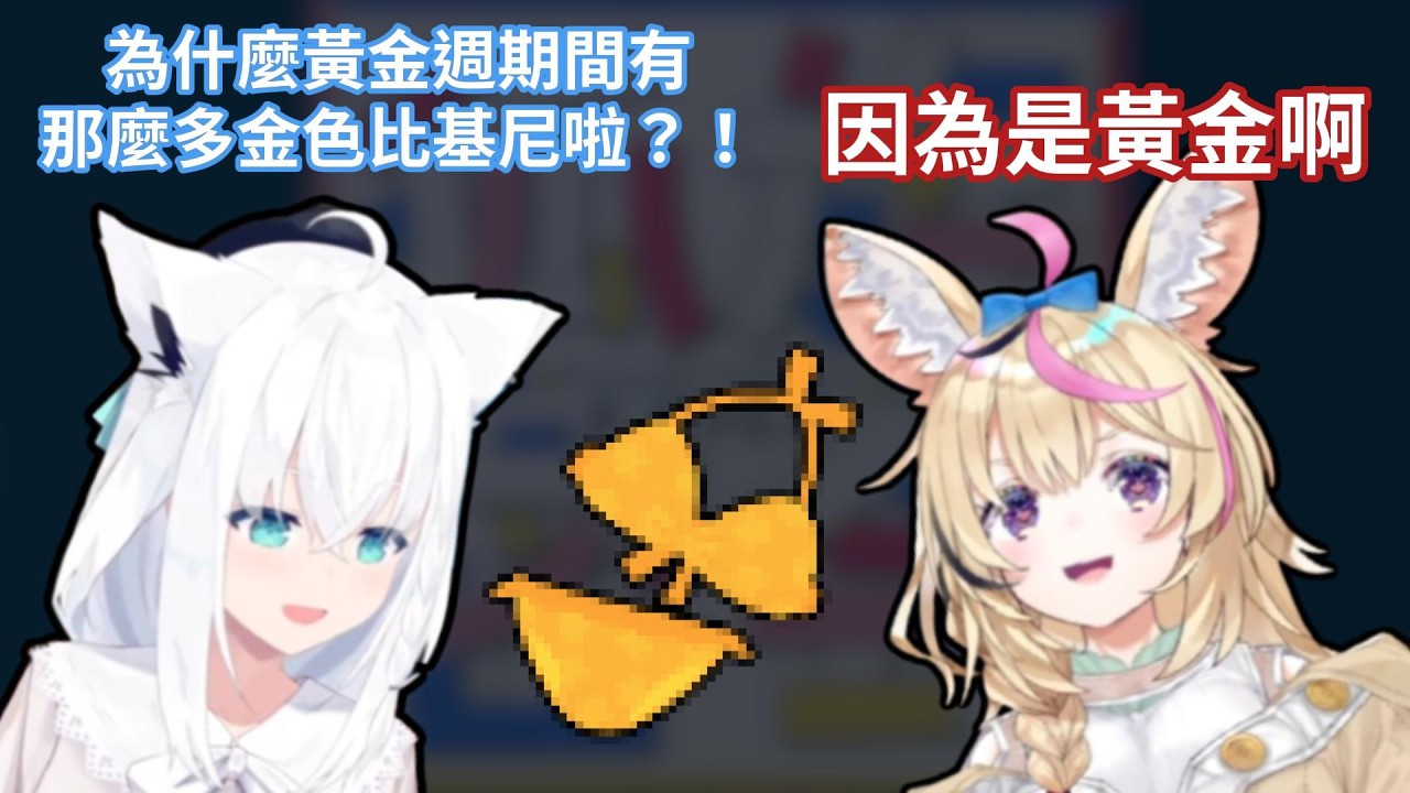 白上吹雪疑惑為什麼黃金週期間X上都是金色比基尼，尾丸波爾卡的回答簡潔有力www【hololive中文字幕精華】