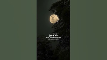 اعلموا أنما الحياة الدنيا لعب و لهو || سورة الحديد || القارئ: رعد الكردي