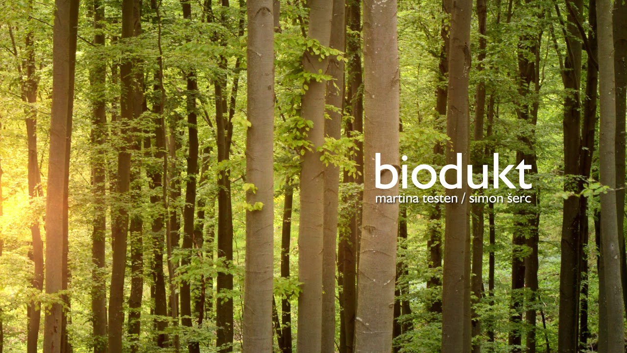 Martina Testen / Simon Šerc - Biodukt (Ambientfabrik AF2001)