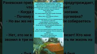 ПОДБОРКА ЗАБАВНЫХ АНЕКДОТОВ #анекдоты #Юмор #История #Жизнь #Анекдот #Прикол #США