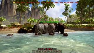 ATLAS Treasure Map, Pig rush