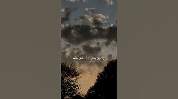 أوليس الذي خلق السماوات والارض بقادر على أن يخلق مثلهم || احمد خضر || سورة يس -الآية ٨١