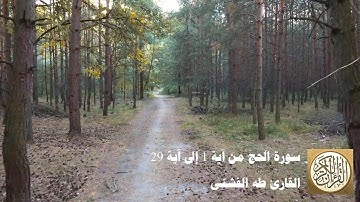 طه الفشني - سورة الحج من آية ١ إلى آية ٢٩ - يَا أَيُّهَا النَّاسُ اتَّقُوا رَبَّكُمْ ...
