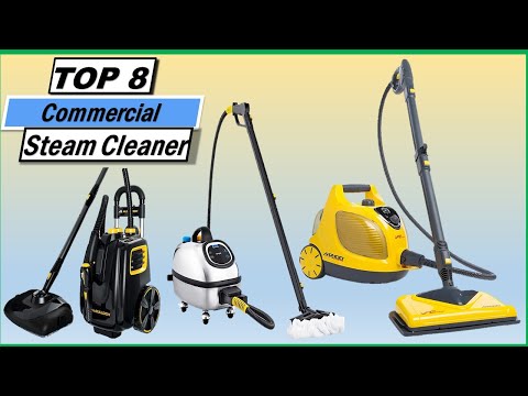 The 8 Best Steam Cleaners of 2024, Tested and Reviewed