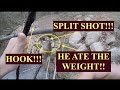 The craziest thing ever!!