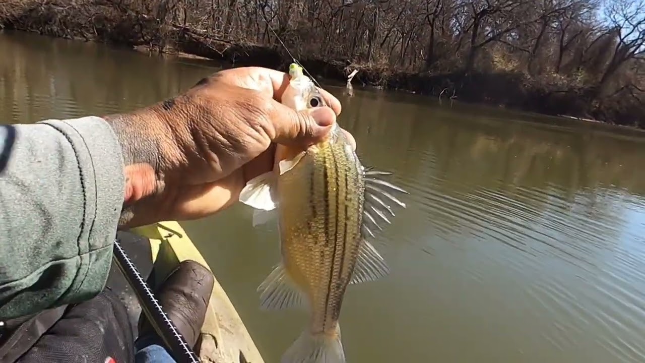 Buenaaa pesca de drum fish people!