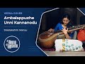 Ambalappuzhe Unni Kannanodu - Veena Instrumental Cover [Unplugged]