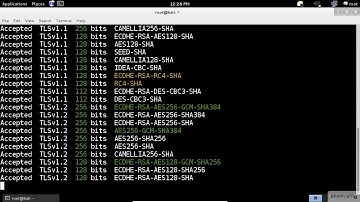 SSL Scanning | Kali Linux |  SSL/TLS Vulnerability Scanner