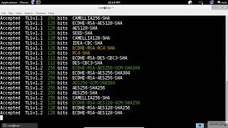 SSL Scanning | Kali Linux |  SSL/TLS Vulnerability Scanner