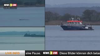 LIVE: Buckelwal 'Hope' vor der Insel Poel - Tag 24