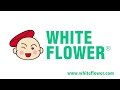 Hoe Hin White Flower Embrocation - Production