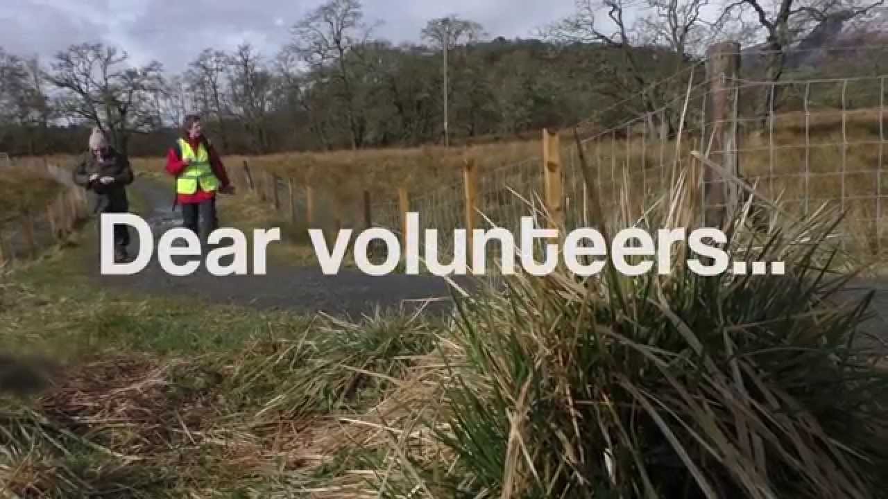 A Thank You to Our Volunteers - YouTube