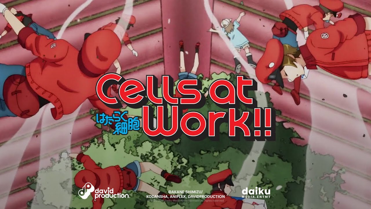 Cells at Work! Code Black Official Trailer/PV [ Hataraku Saibō Black ]