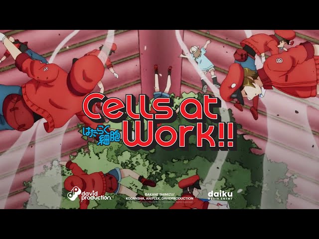 Hataraku Saibou (Cells At Work!) Image by david production