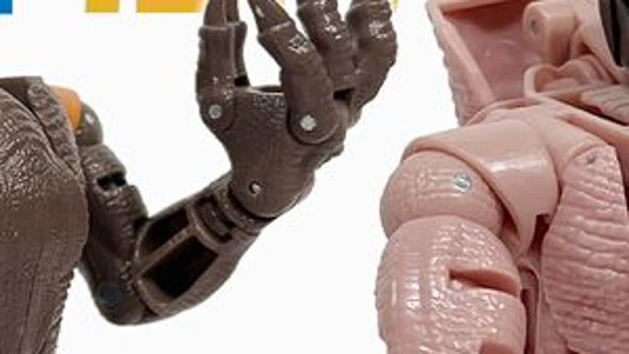 【变形金刚超能勇士BW】世界初玩具配色恐龙勇士，传世BB平替王国 #模玩 #手办开箱 #手办 #模型玩具