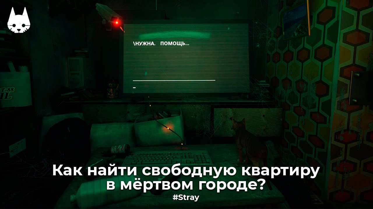 КАК НАЙТИ СВОБОДНУЮ КВАРТИРУ В МЁРТВОМ ГОРОДЕ | Stray (PS5) #1