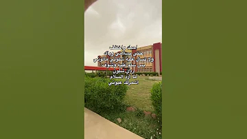 اموت بيه مو بس احبه د جله عبارات اقتباسات شعر شعبي لايك اكسبلور كومنت 
