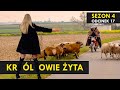 KRÓLOWIE ŻYTA Sezon 4 odc. 17 I Kabaret Malina I Adam Mechanik ogląda obrady Sejmu image